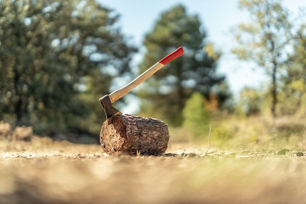 Ax on a tree trunk on background of a roadway