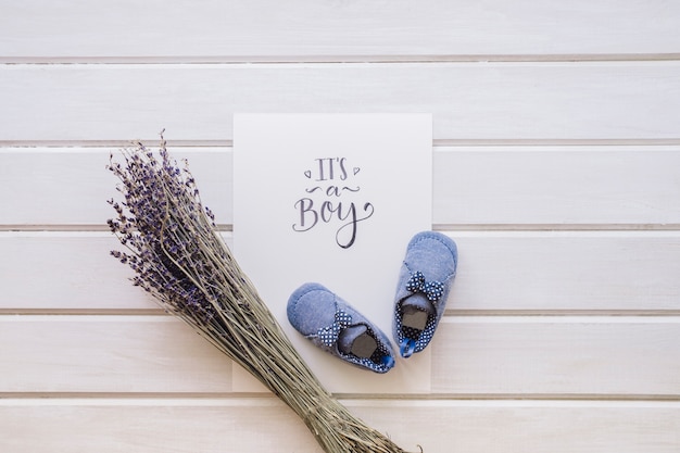 Baby concept with shoes and branches