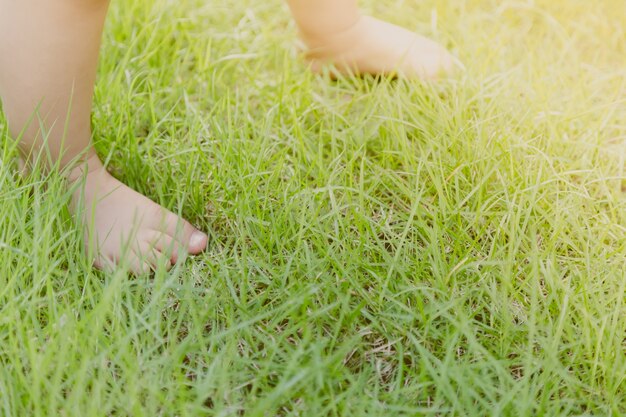 Baby feet on the lawn