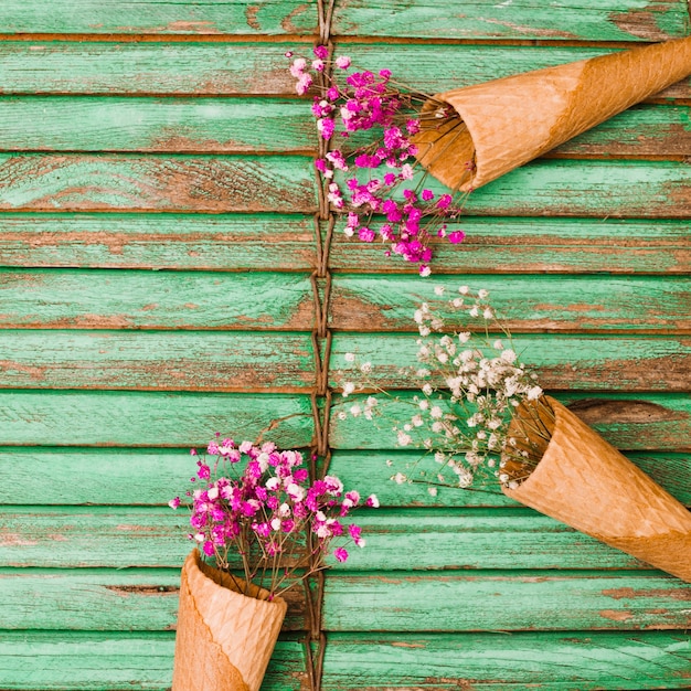 Free Photo baby's-breath flowers in waffle cone on wooden shutter