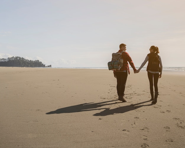 Back view of couple holding hands on beach