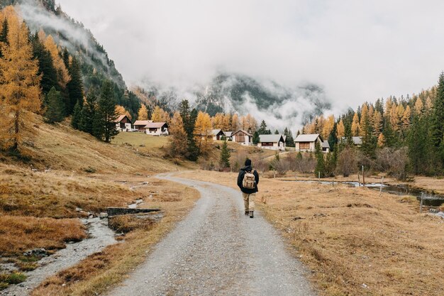 Free Photo back view of a man hiker with a backpack walking along a footpath surrounded by autumn nature scenes