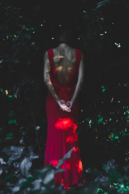 Free photo back view woman in dark garden