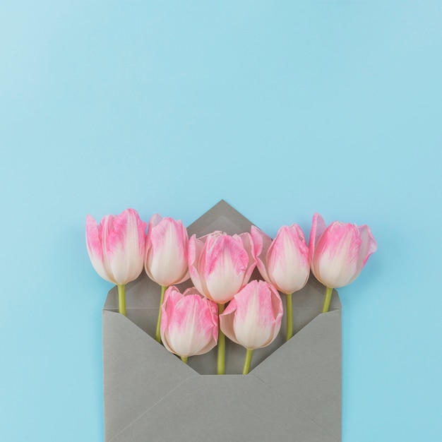 Background decorated by tulips in envelope