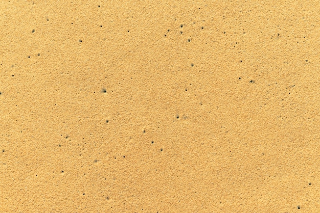 Free photo background empty surface desert summer