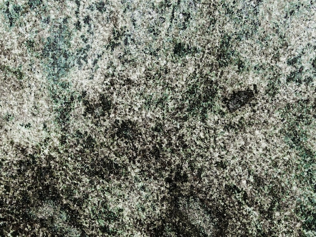 Free Photo background of lichen growing on rock