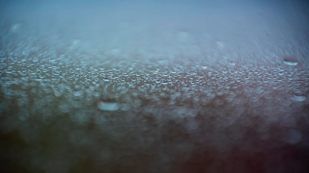 Free photo background rain drops close up