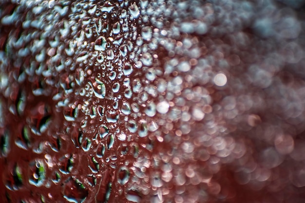 Free Photo background rain drops close up