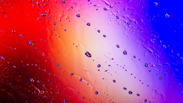 Free Photo background rain drops close up