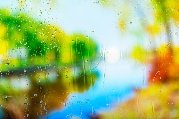 Free photo background rain drops close up