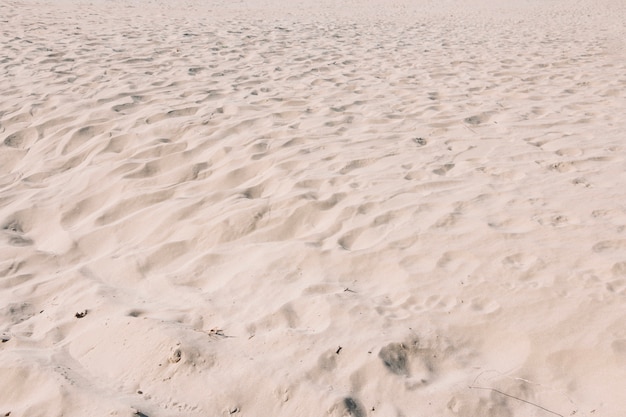 Free photo background of sand with small dunes