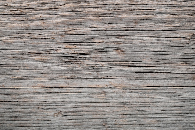 Free photo background, texture. wood in close-up