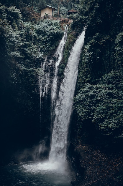 Free Photo background waterfall, mountain