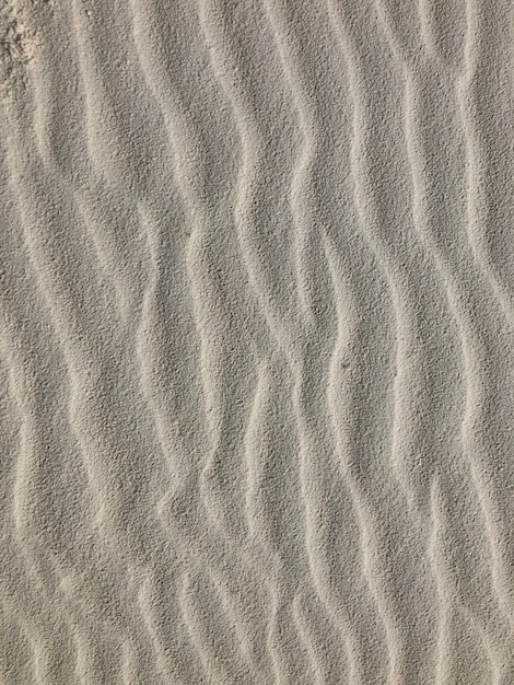 Free Photo background of the wind-swept sand in the desert