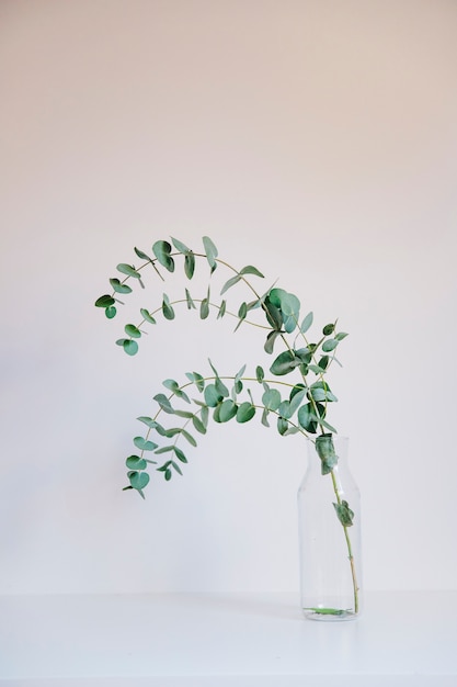 Free Photo background with branch in glass