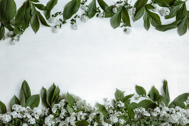 Background with natural leaves and branches of flowers isolated