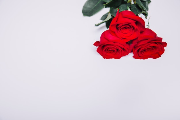 Free photo background with roses and space