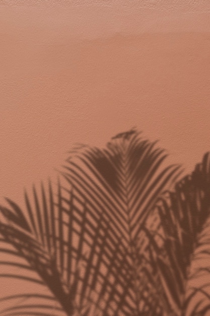 Free Photo background with shadow of a palm tree