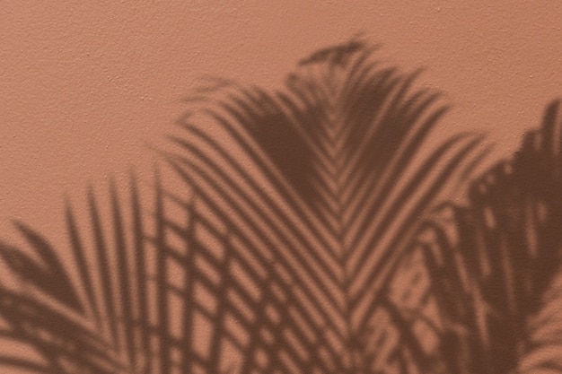 Free photo background with shadow of a palm tree