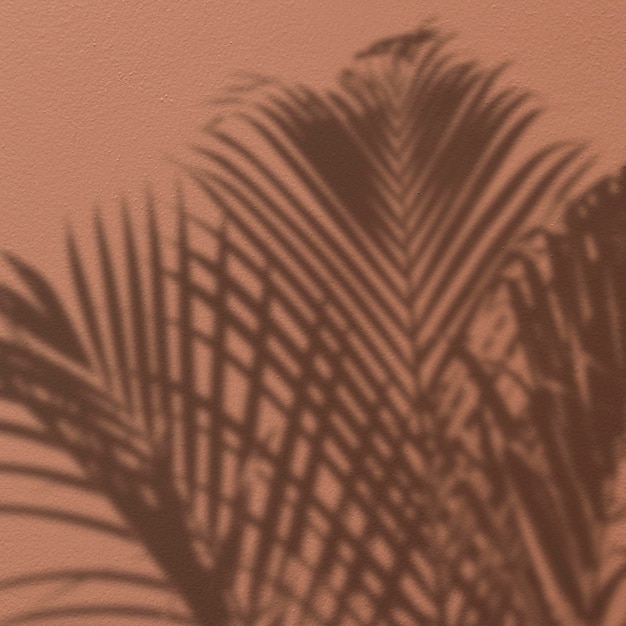 Free Photo background with shadow of a palm tree