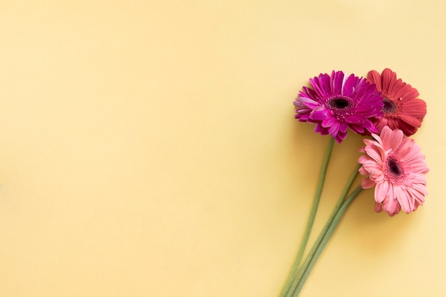 Background with three flowers