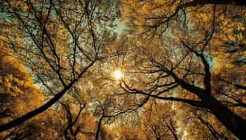 Free photo backlit tree branch glows in autumn sunset generated by ai