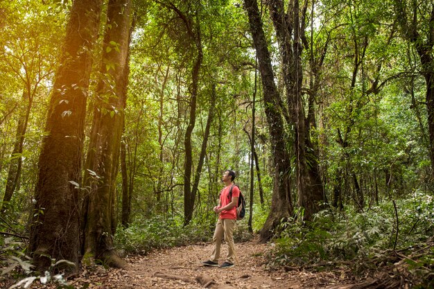 Backpacker admiring forest