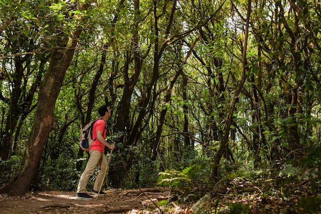 Backpacker admiring trees