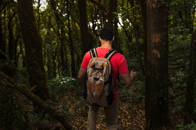 Free Photo backpacker in dark forest