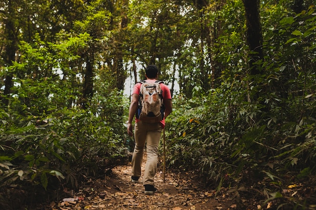 Backpacker hiking in forest