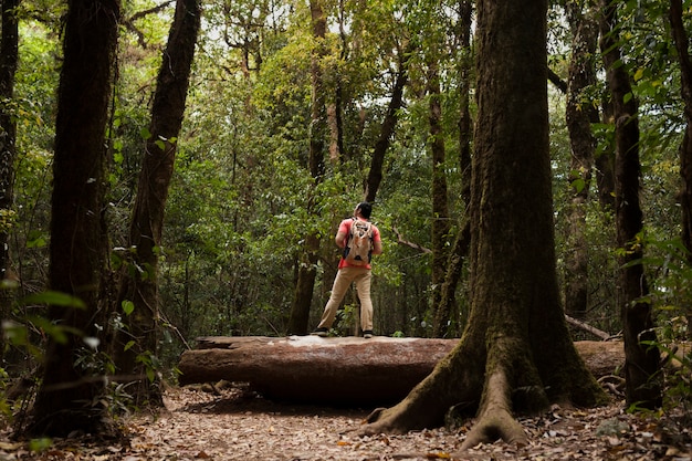 Free photo backpacker standing on tree trunk