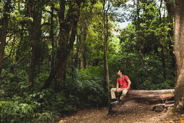 Backpacker on tree trunk in forest