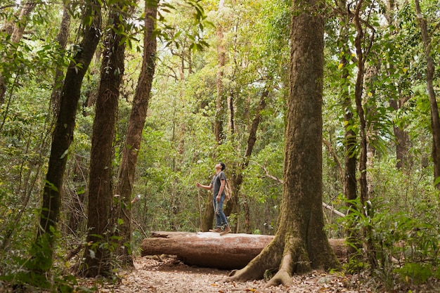 Backpacker on tree trunk