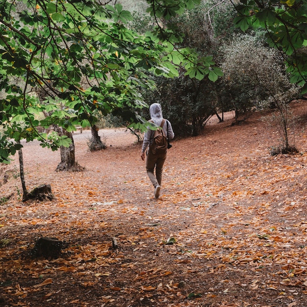 Backpacker walking in autumn forest