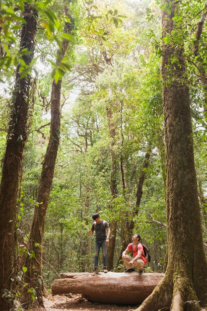 Backpackers standing on tree trunk