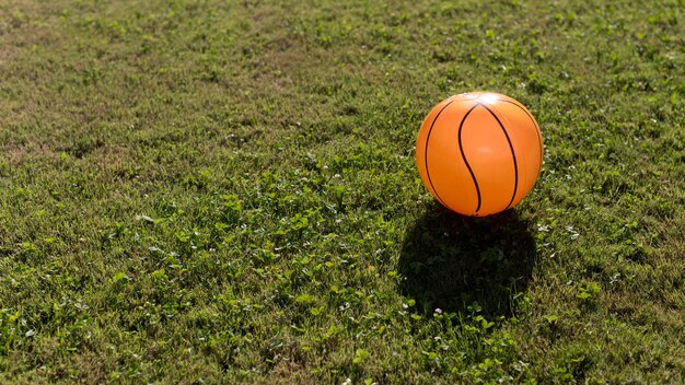 Ball in backyard