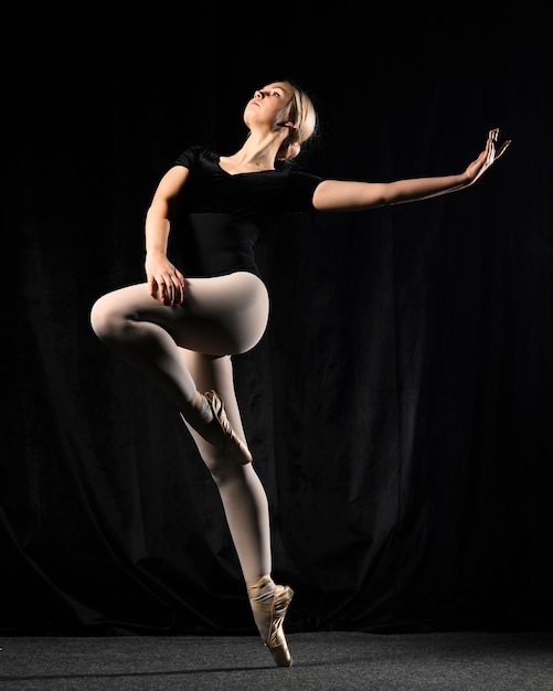 Ballet dancer posing on tights and leotard