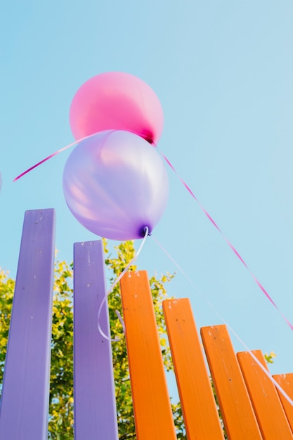 Free photo balloons on a fence