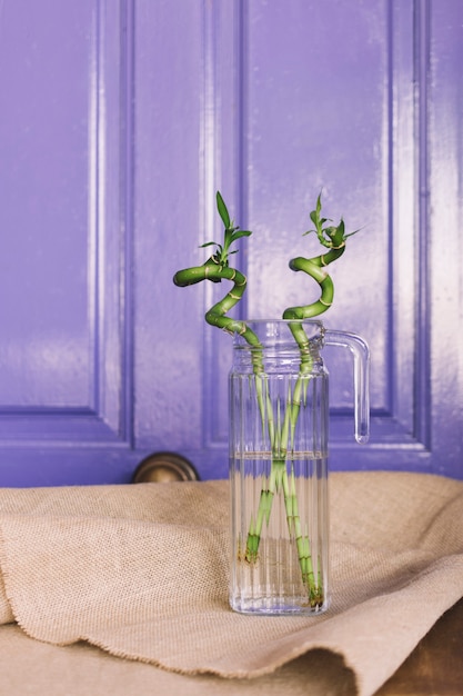 Free Photo bamboo plant in glass bottle