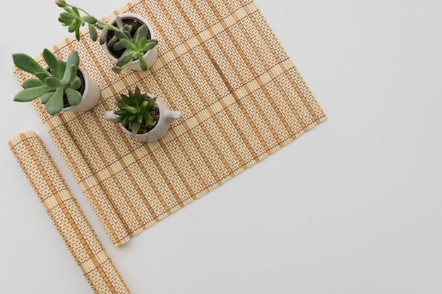 Free photo bamboo table runner with three plants