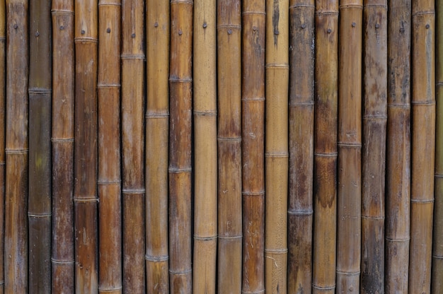 Free Photo bamboo wall house