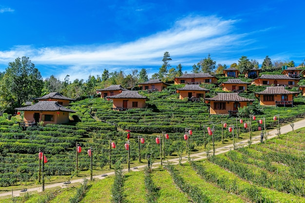 Free photo ban rak thai in mae hong son,thailand.