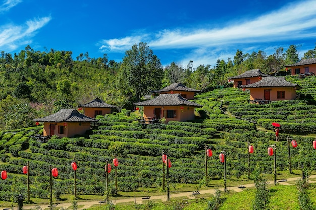 Ban rak thai in Mae hong son,Thailand.