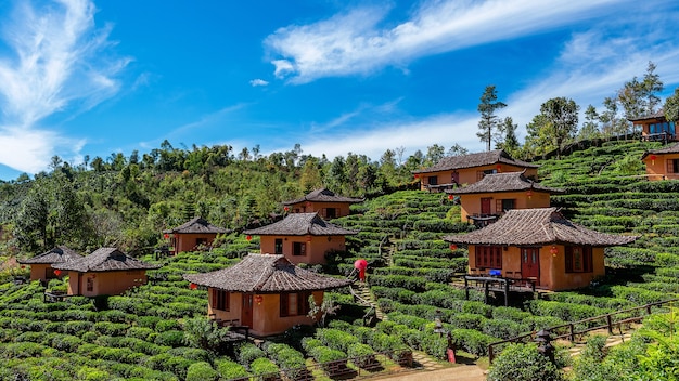 Free Photo ban rak thai in mae hong son,thailand.