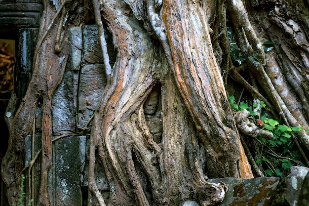 Bas Relief Statue of Khmer Culture in Angkor Wat, Cambodia.