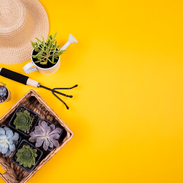 Basket of flowers with copy space