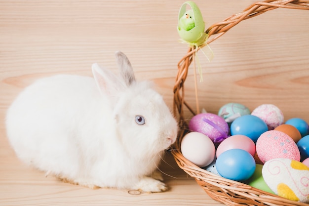 Basket with eggs near white rabbit