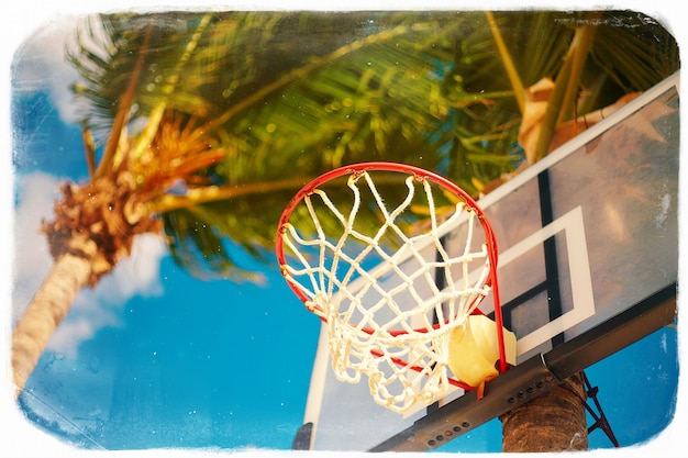 Free photo basketball board ring on summer day on blue sky and green tree palm in retro style