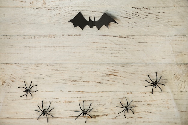 Free Photo bat and spiders