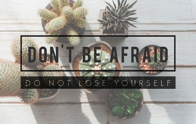 Don't be afraid, do not lose yourself. Quote